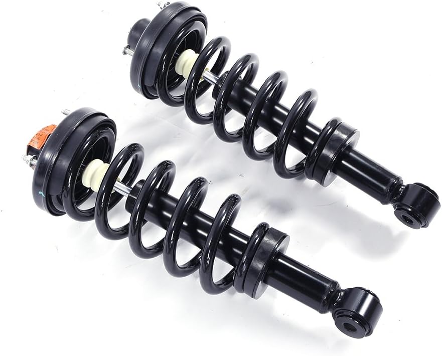 Pair Rear Complete Strut Shock Absorber Assembly C95590