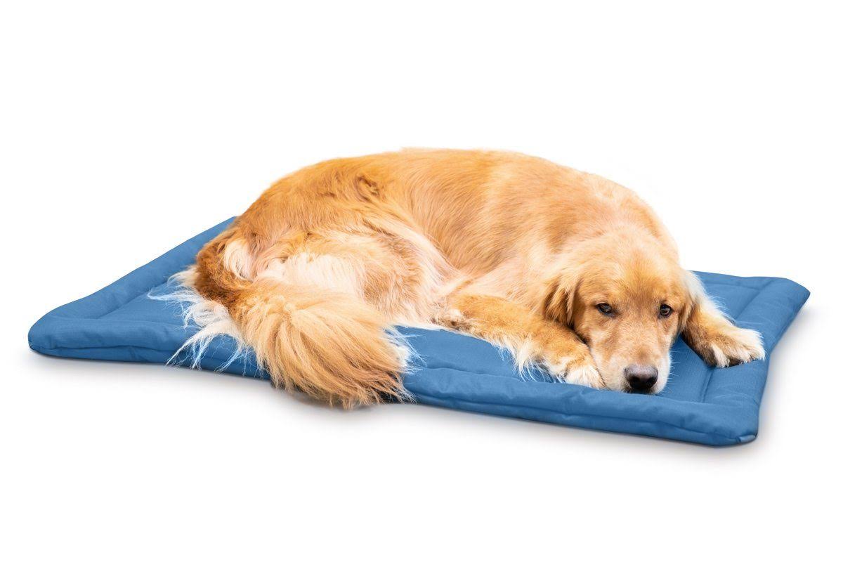 Chew Resistant Crate Pad, Blue / X-Large M786