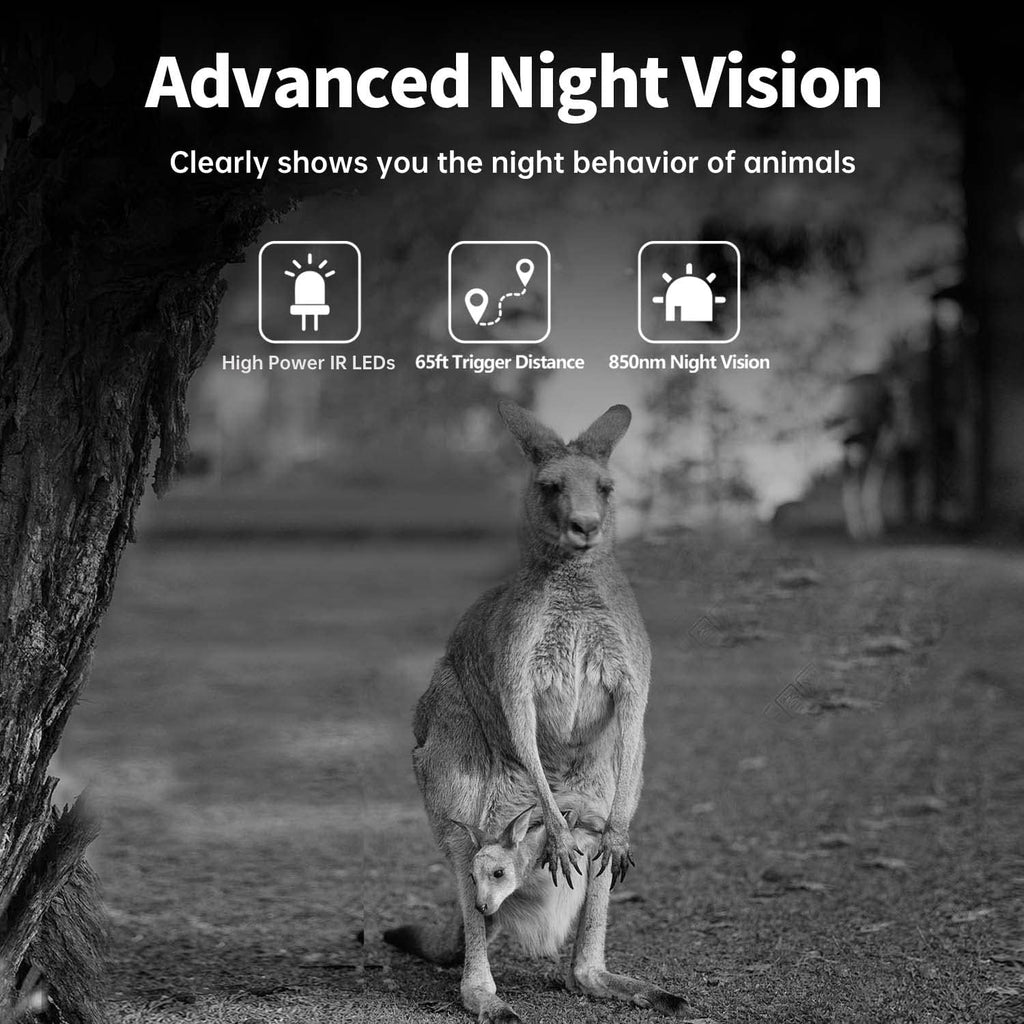 2.4" LCD 32MP 4K IP66 Waterproof Deer Camera, Pack of 2 O941