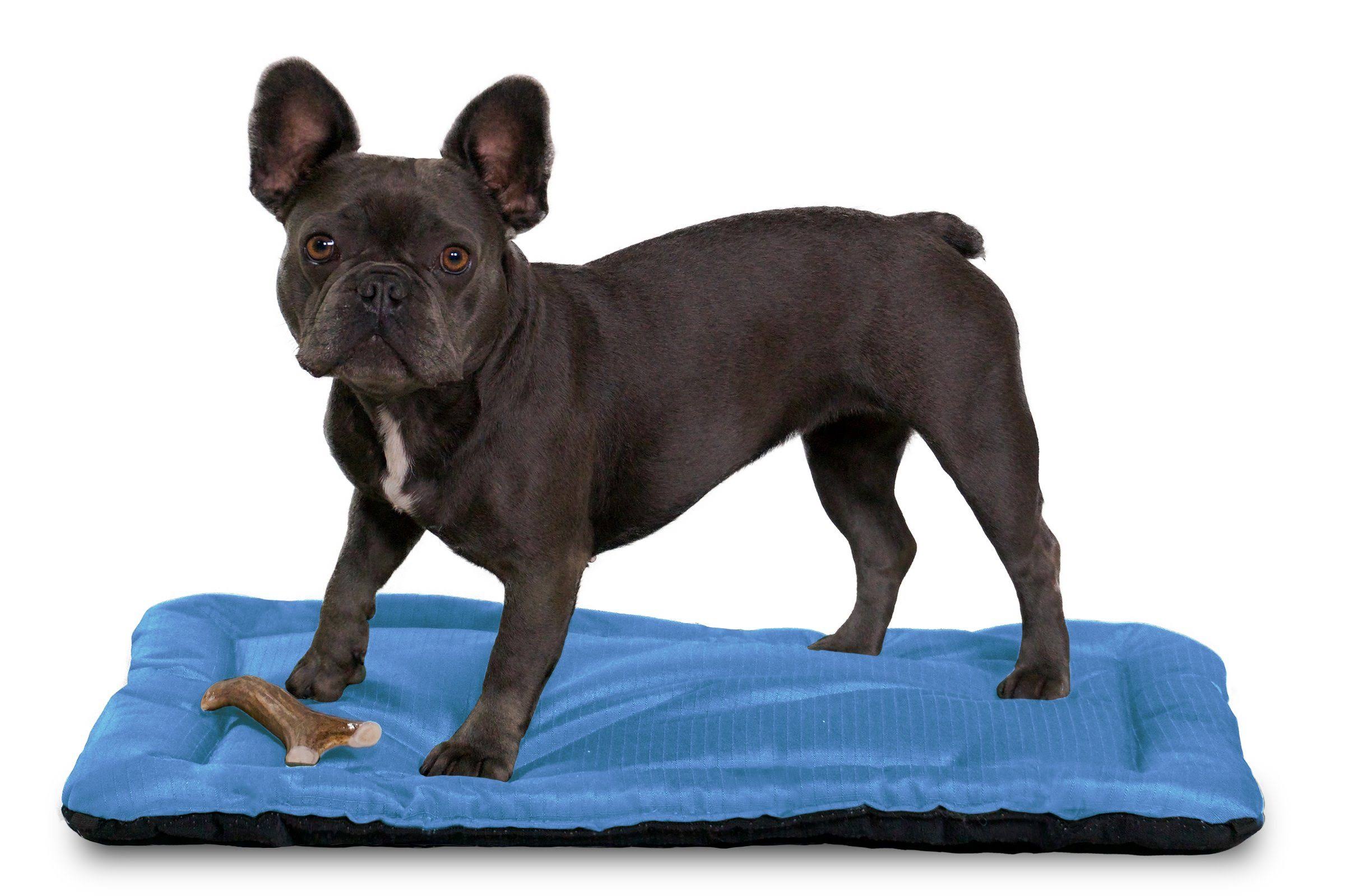 Chew Resistant Crate Pad, Blue / X-Large M786