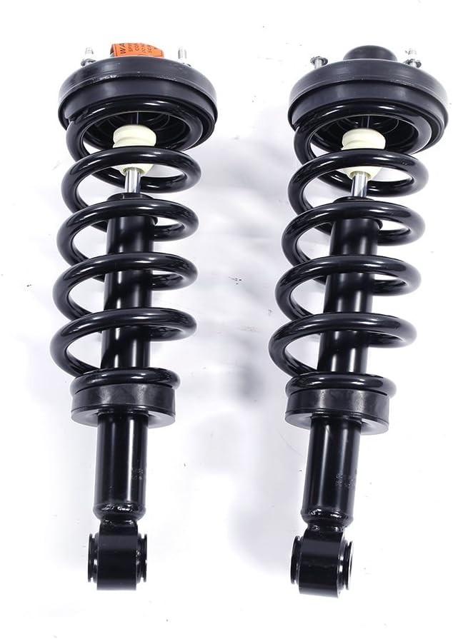 Pair Rear Complete Strut Shock Absorber Assembly C95590