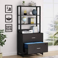 2 Drawer Lateral File Cabinet with Lock X814