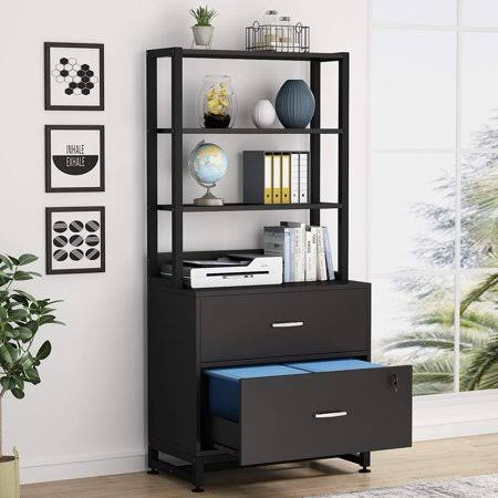 2 Drawer Lateral File Cabinet with Lock X814