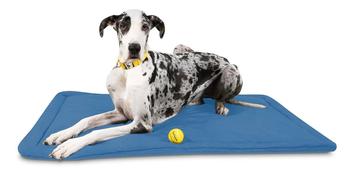 Chew Resistant Crate Pad, Blue / X-Large M786