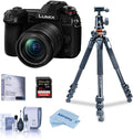 4K Mirrorless Camera with 12-60mm Lens, Vanguard Tripod Kit O255