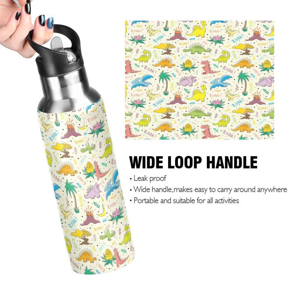 Stainless Steel Insulated Water Bottle with Straw Lid G5623
