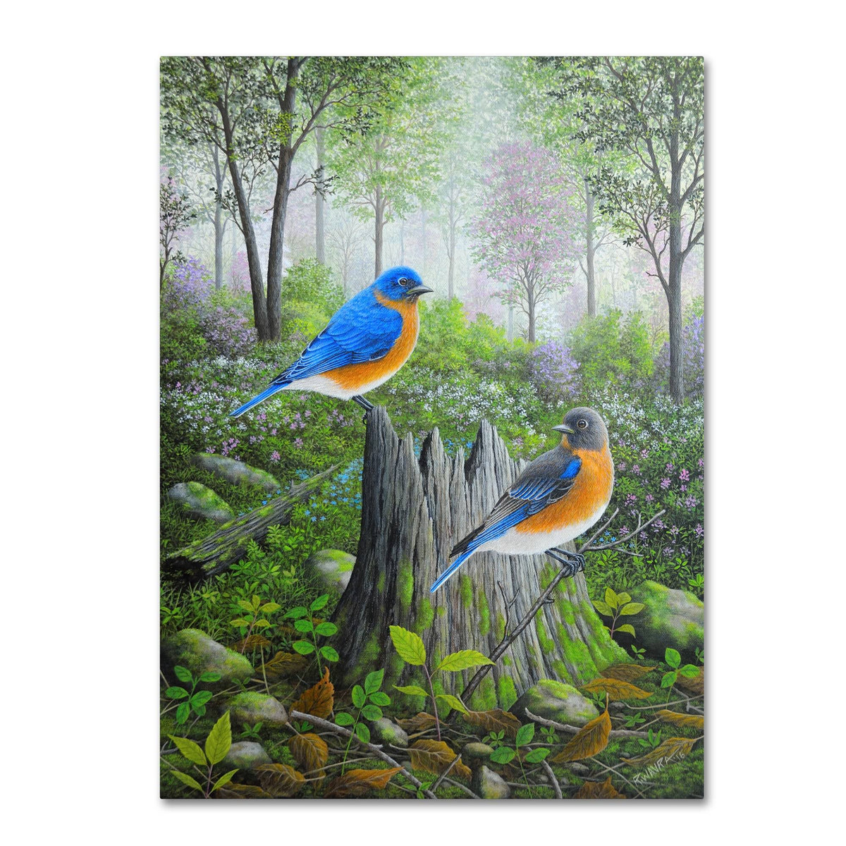 Canvas Art E6600