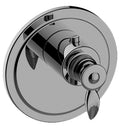 Satin Nickel Thermostatic Trim Plate with Handle Z5743