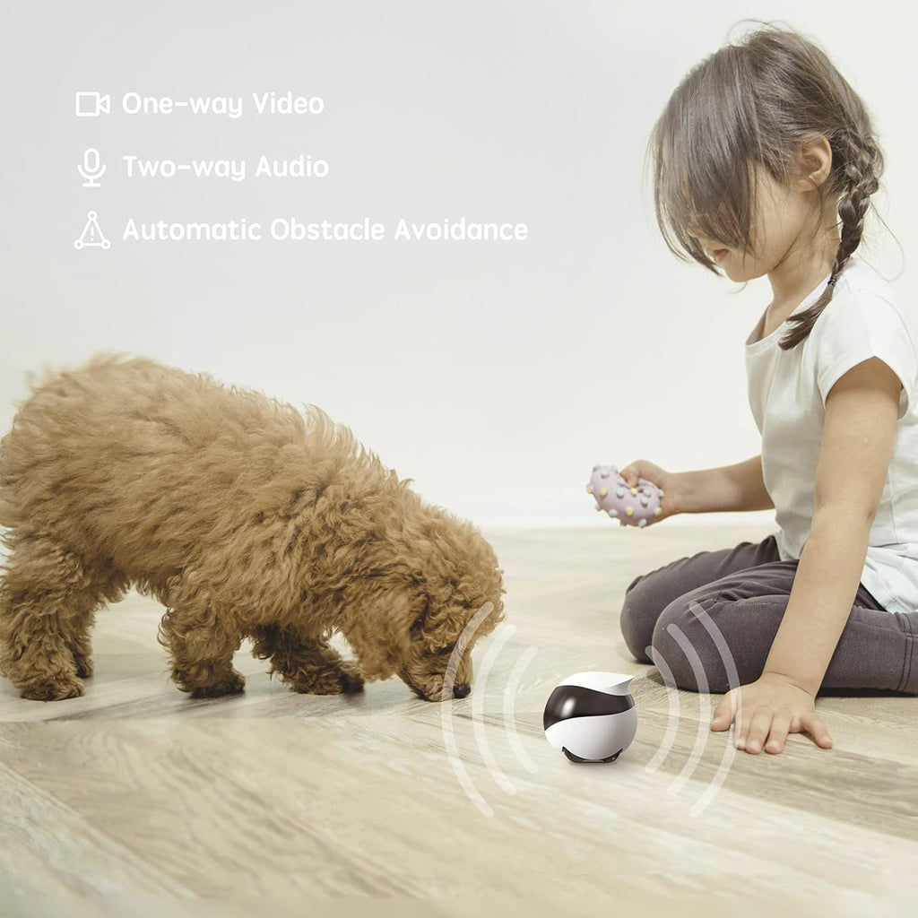 Wireless Pet Camera with Self-Charging, Night Vision, 2 Way Audio Motion Detection O8659