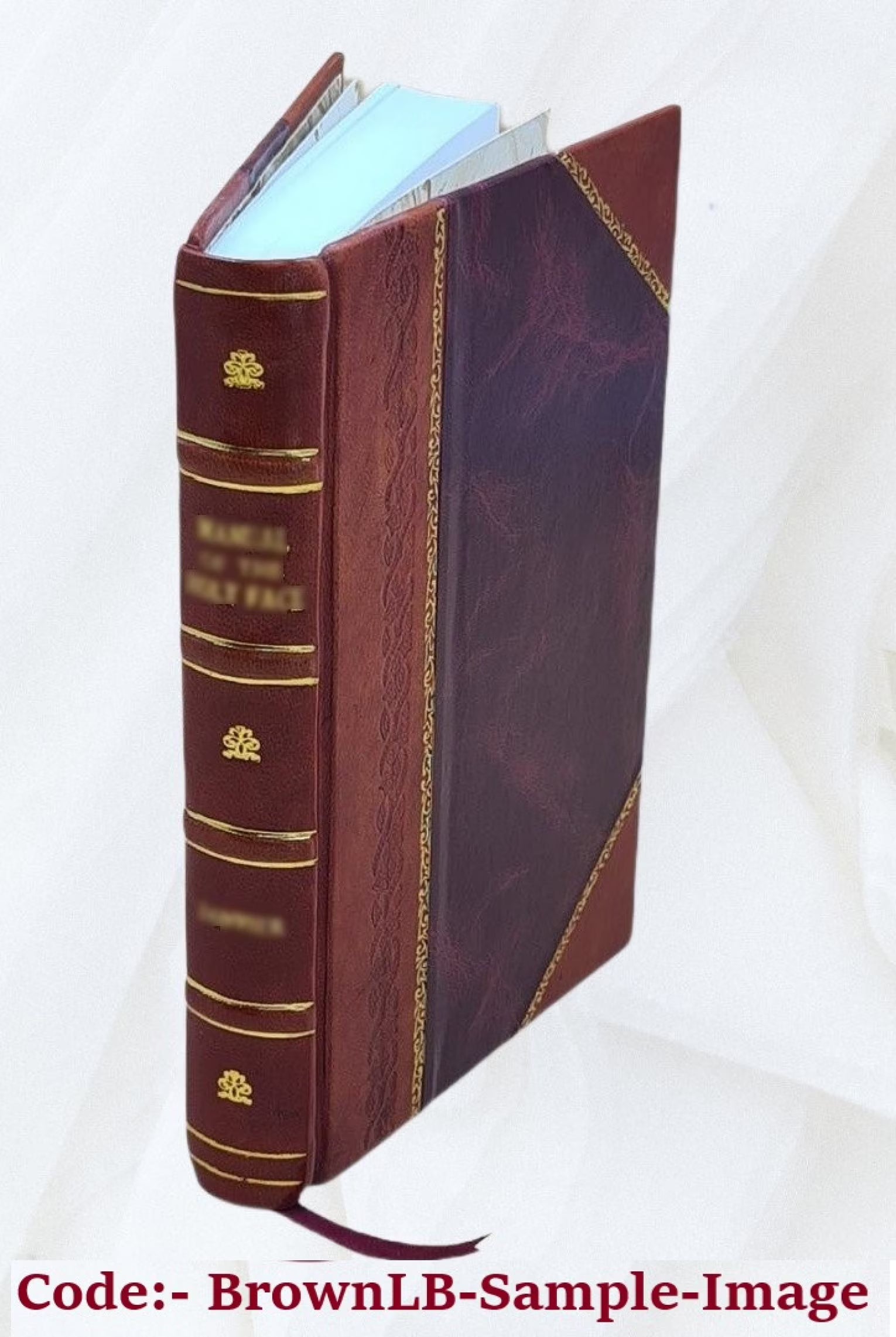 Leather Bound Book X741127