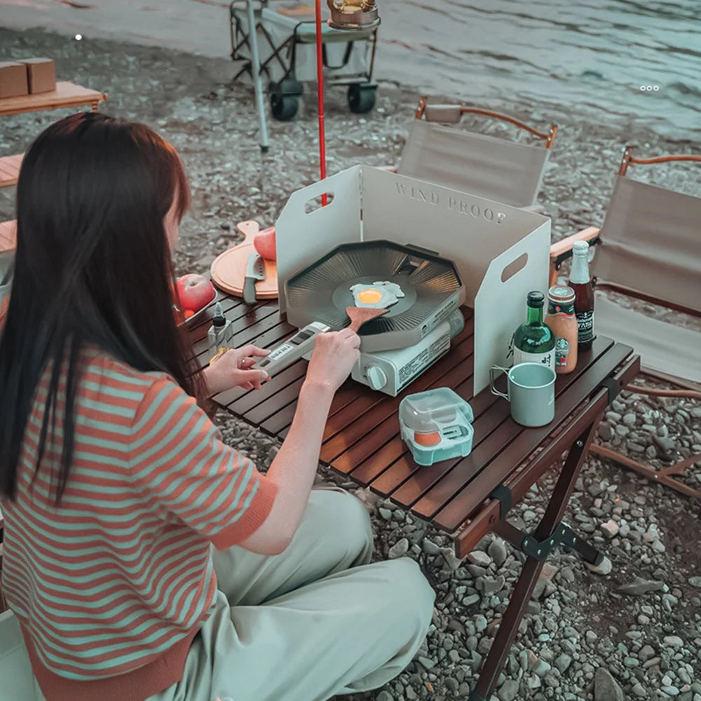 Portable Butane Camping Stove D742548