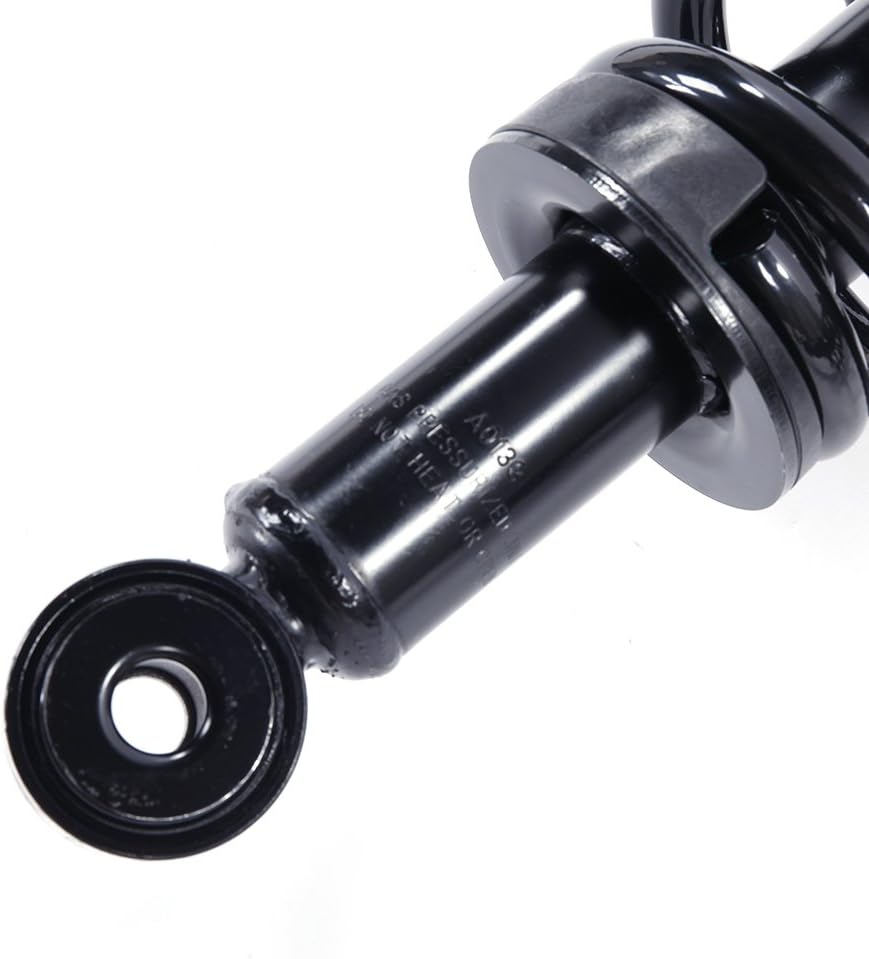 Pair Rear Complete Strut Shock Absorber Assembly C95590