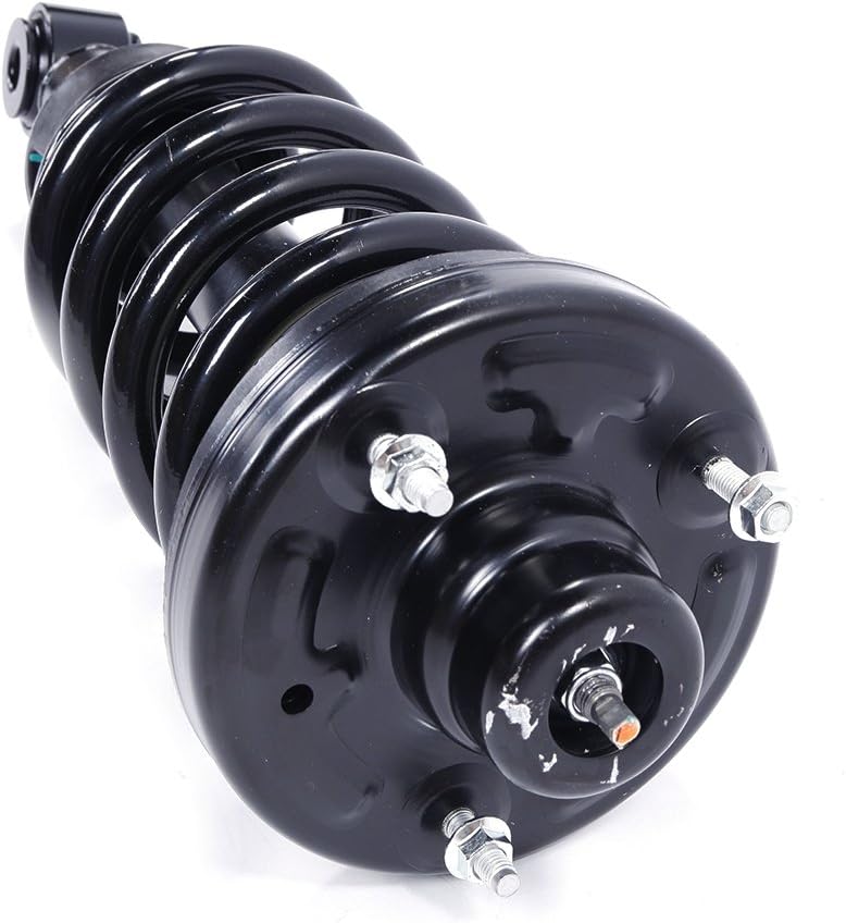 Pair Rear Complete Strut Shock Absorber Assembly C95590