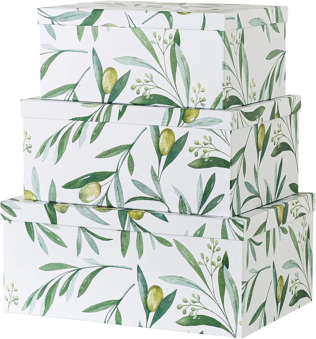 Decorative Storage Cardboard Boxes with Lids, Set of 3 Z480