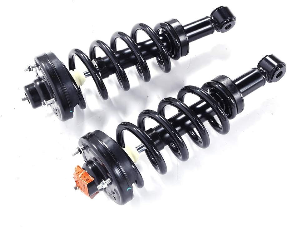 Pair Rear Complete Strut Shock Absorber Assembly C95590