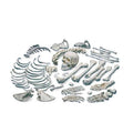Disarticulated Human Skeleton S97051