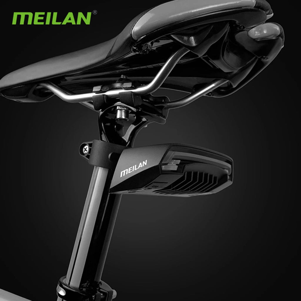 Wireless Bike Tail Light with LED Turn Signal D172