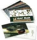 Aquatic Macroinvertebrates Insect Identification Flashcards E53757