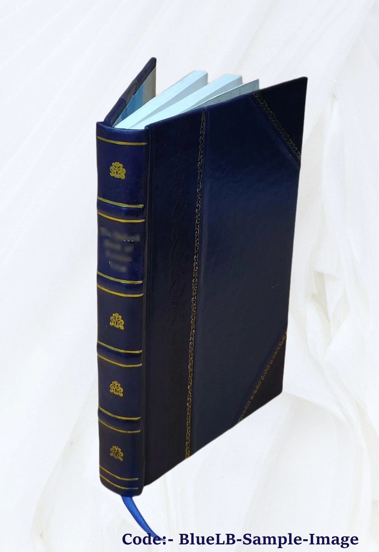 Leather Bound Book N5426