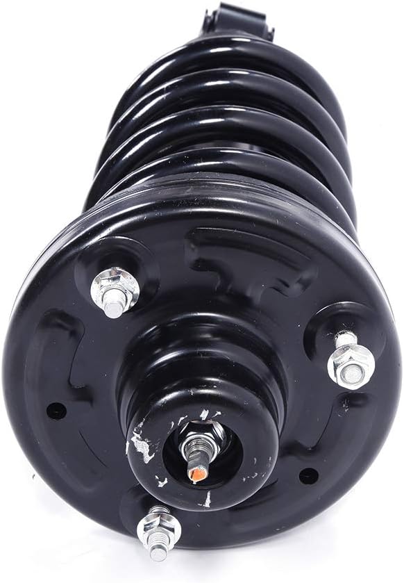 Pair Rear Complete Strut Shock Absorber Assembly C95590