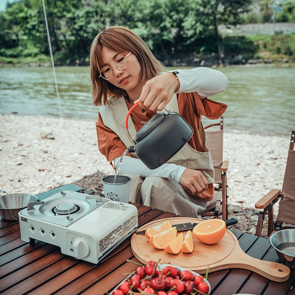 Portable Butane Camping Stove D742548