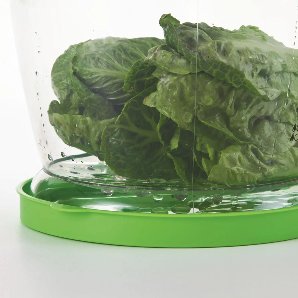 Lettuce Keeper Food Storage, 4.7 Qt, Green Lid H411