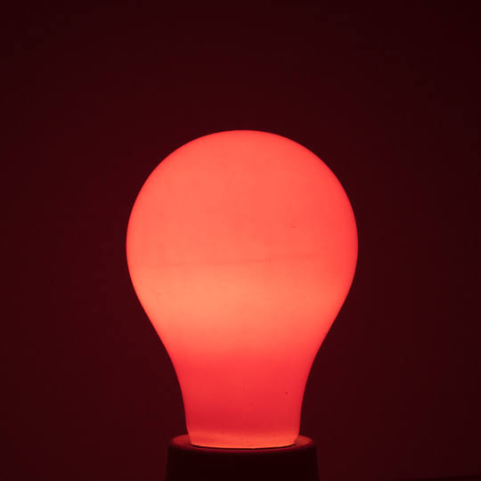 Set of 18 Dimmable Incandescent Light Bulb Ceramic Orange D723127