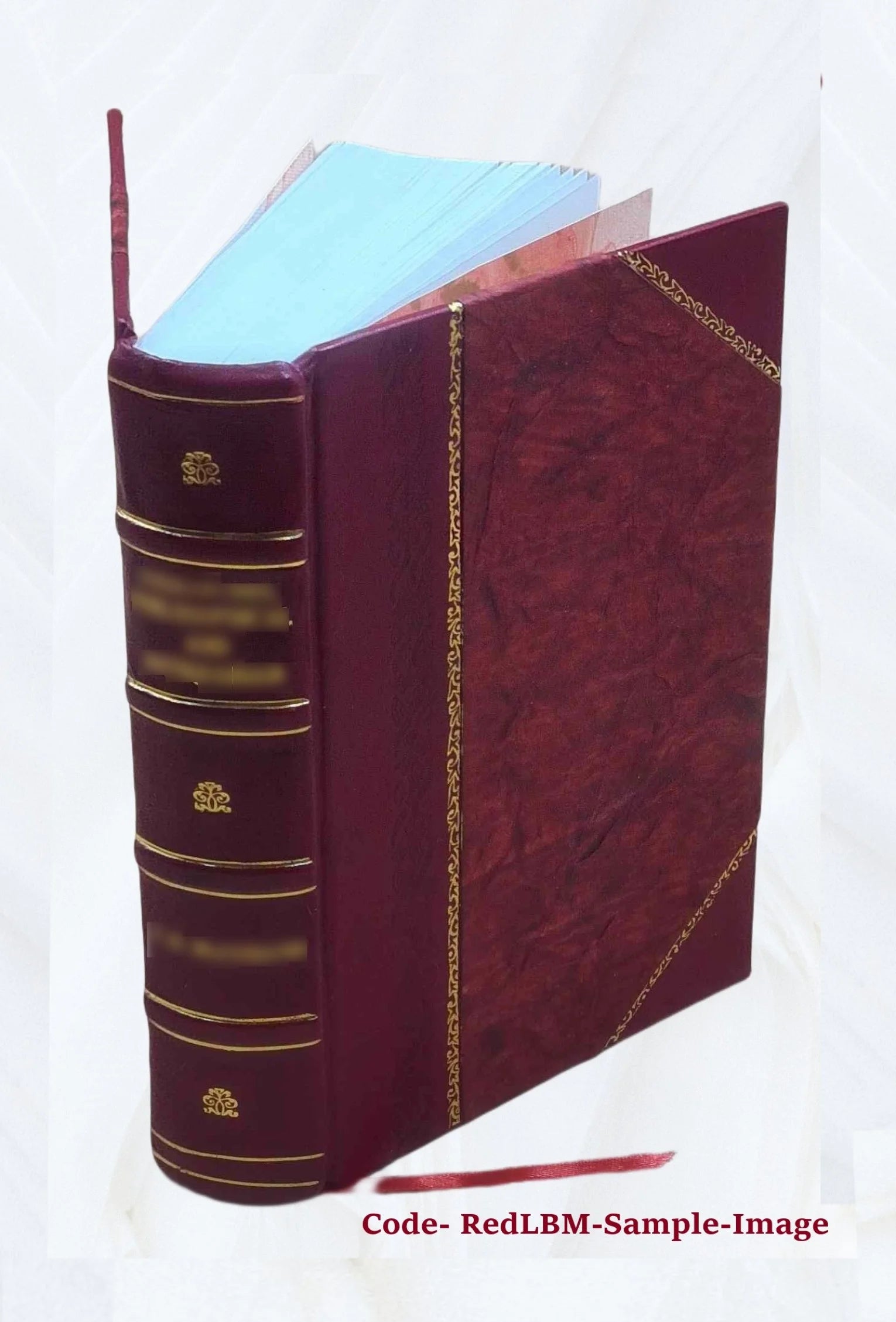 Leather Bound Book O370098