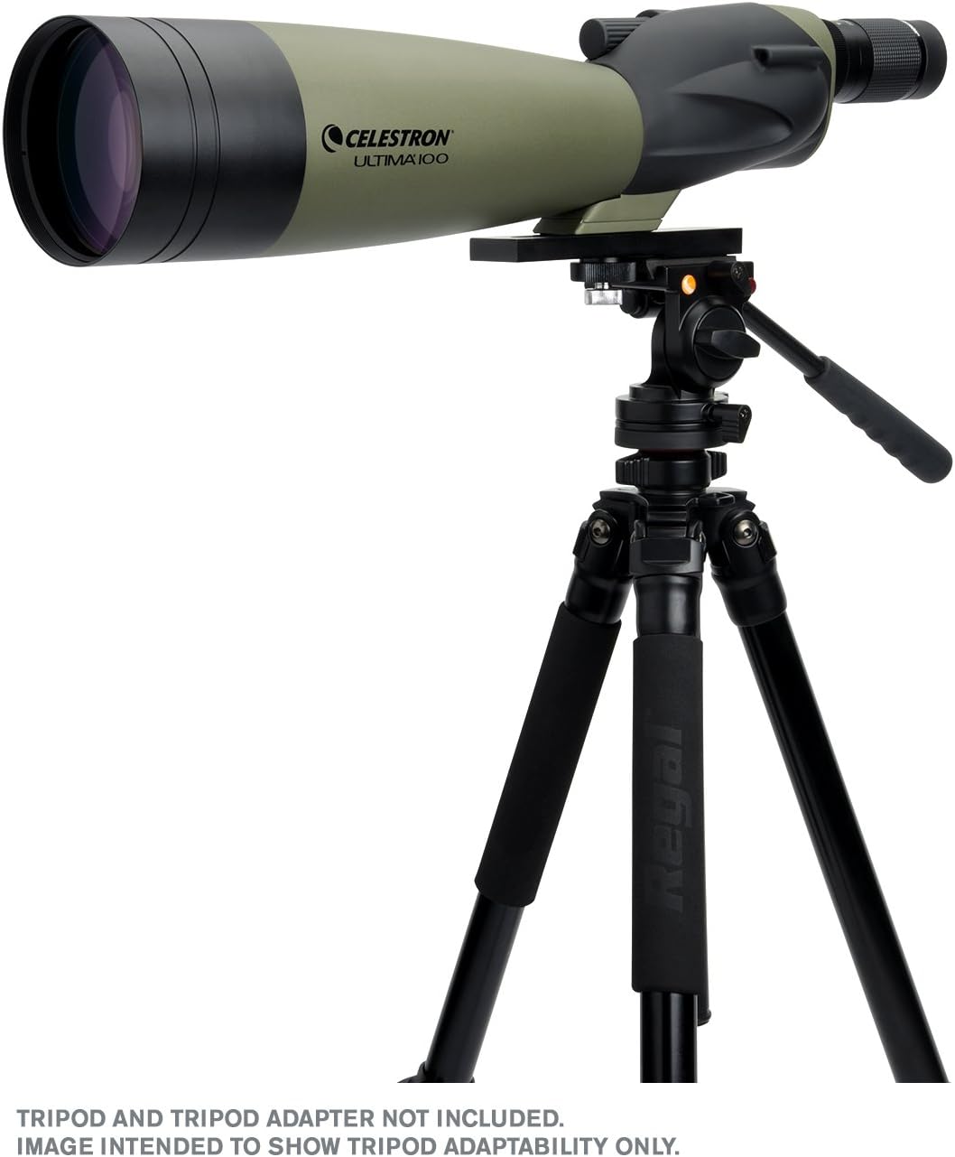 Straight Spotting Scope S216010