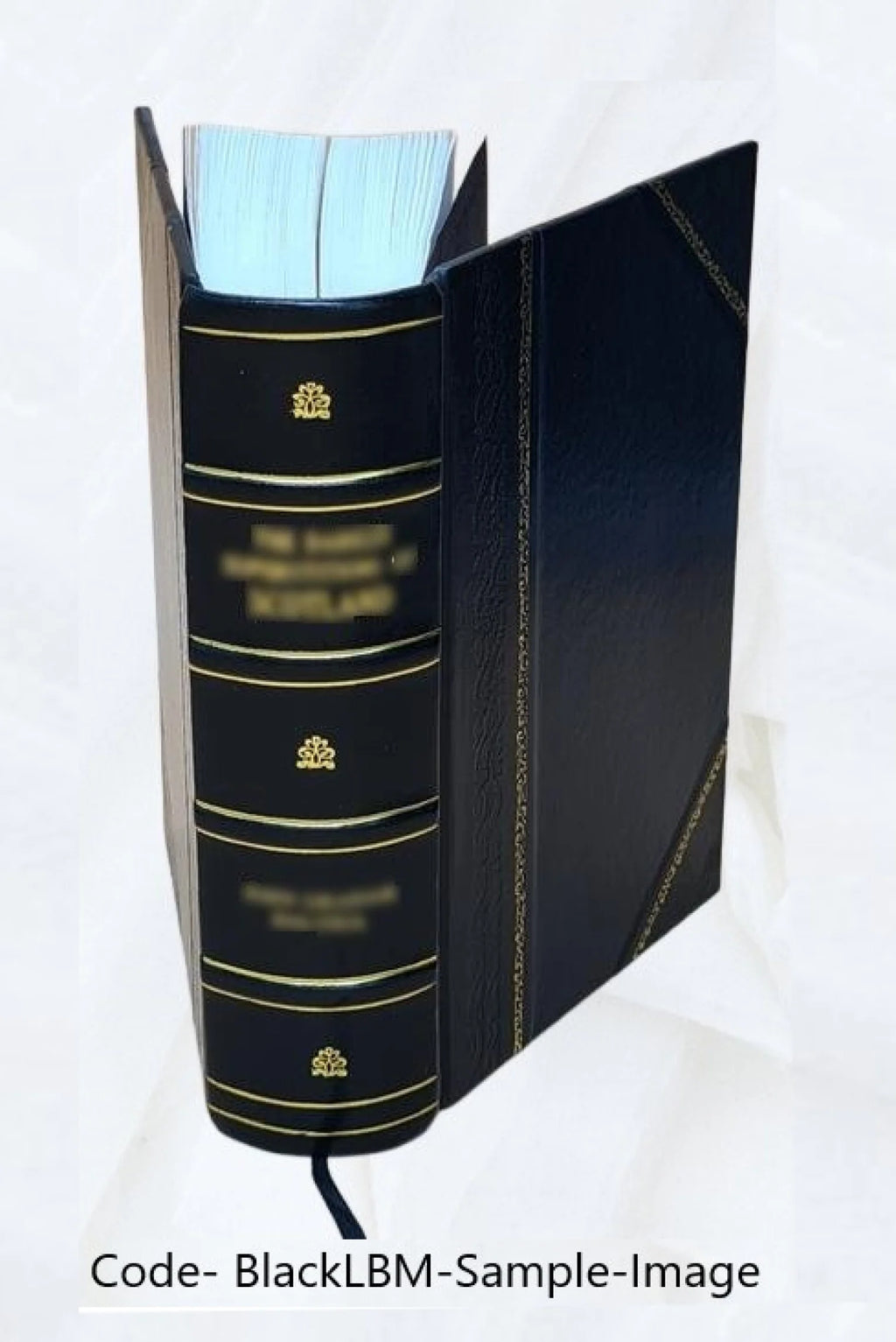 Leather Bound Book O370098