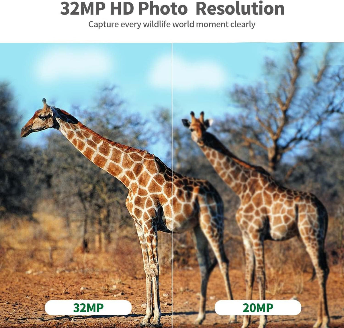 2.4" LCD 32MP 4K IP66 Waterproof Deer Camera, Pack of 2 O941