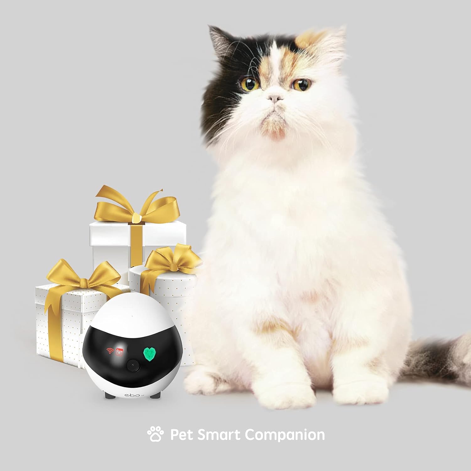 Wireless Pet Camera with Self-Charging, Night Vision, 2 Way Audio Motion Detection O8659