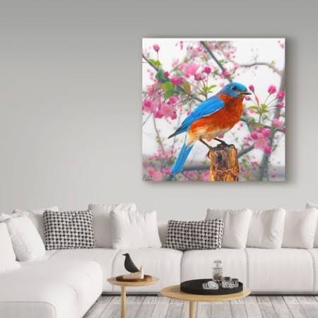 Spring Bird Can W647219