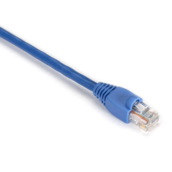 Black Box Cat5e 350-MHz Stranded Ethernet Patch Cable Q8982