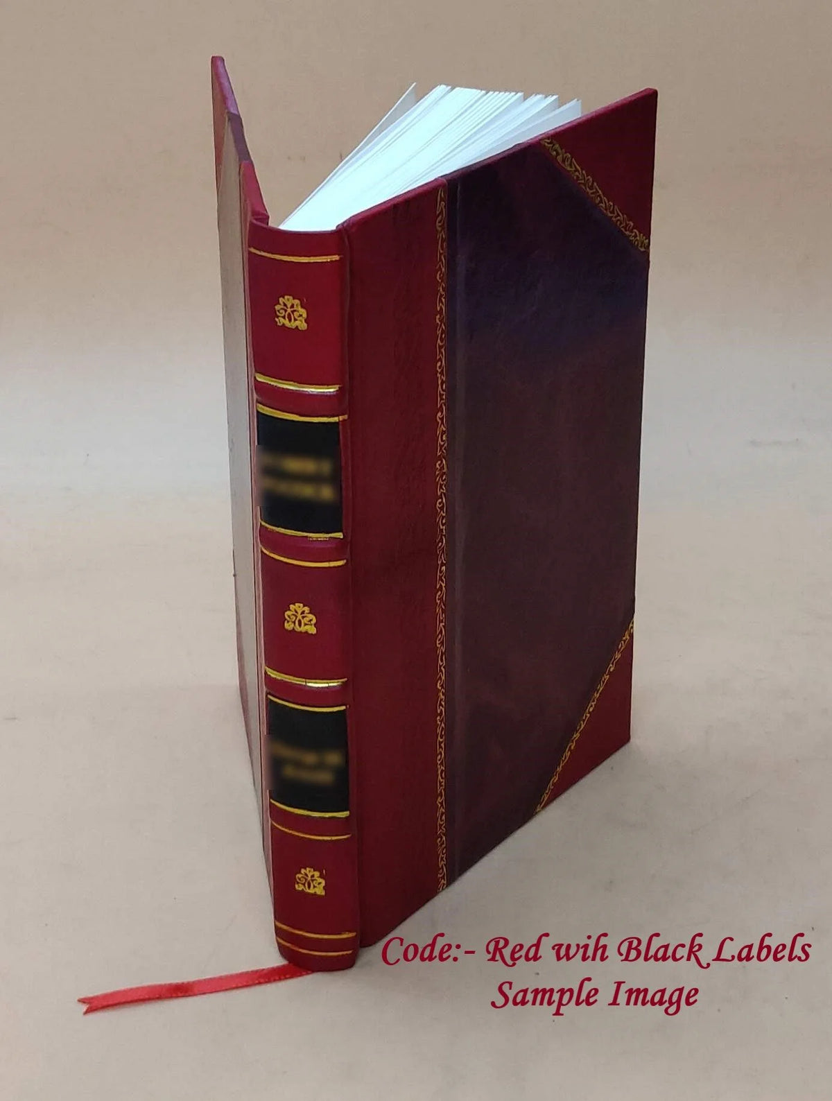 Microbes ptomaÃnes et maladies 1887 Leather Bound Y913