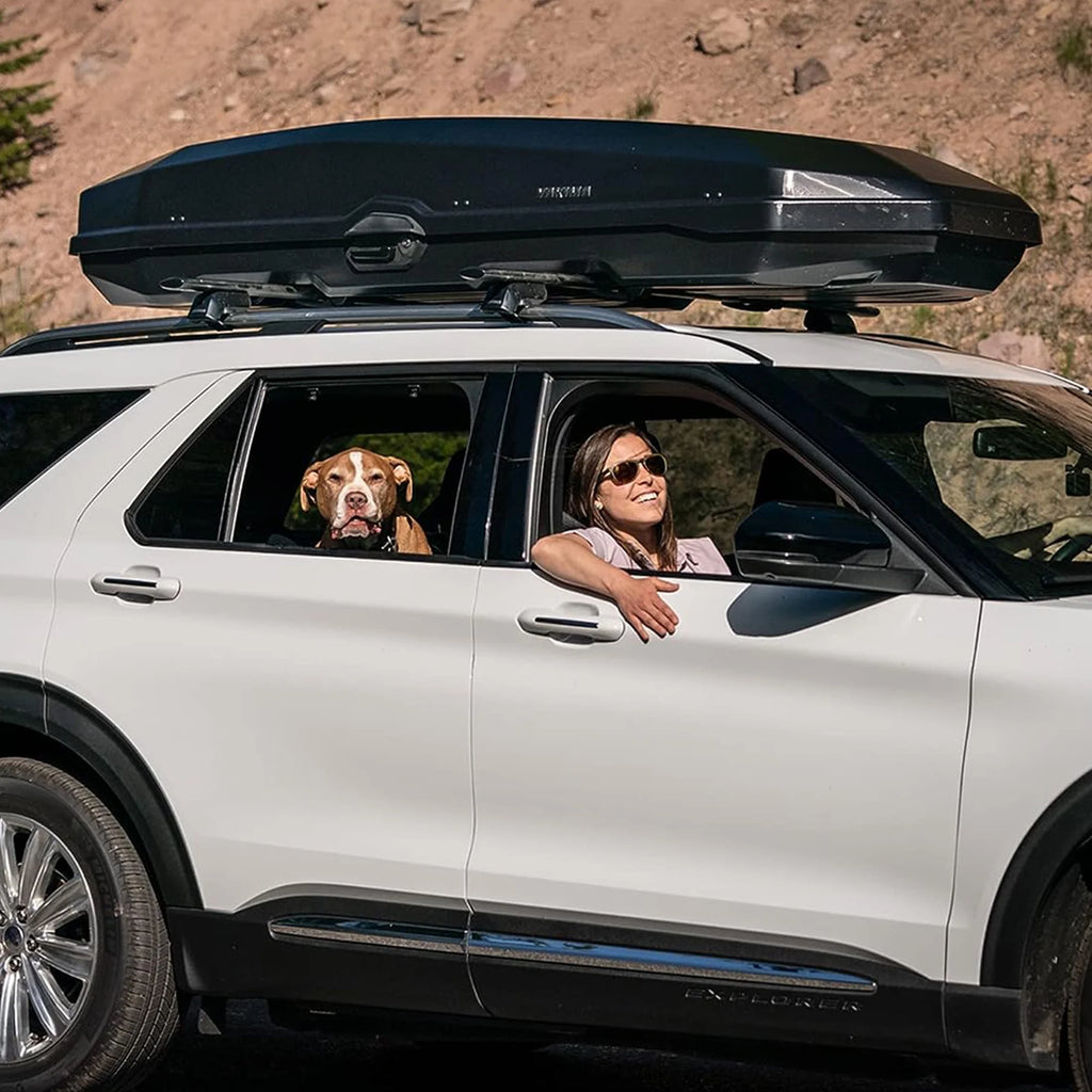Black Rooftop Cargo Carrier Box I86523