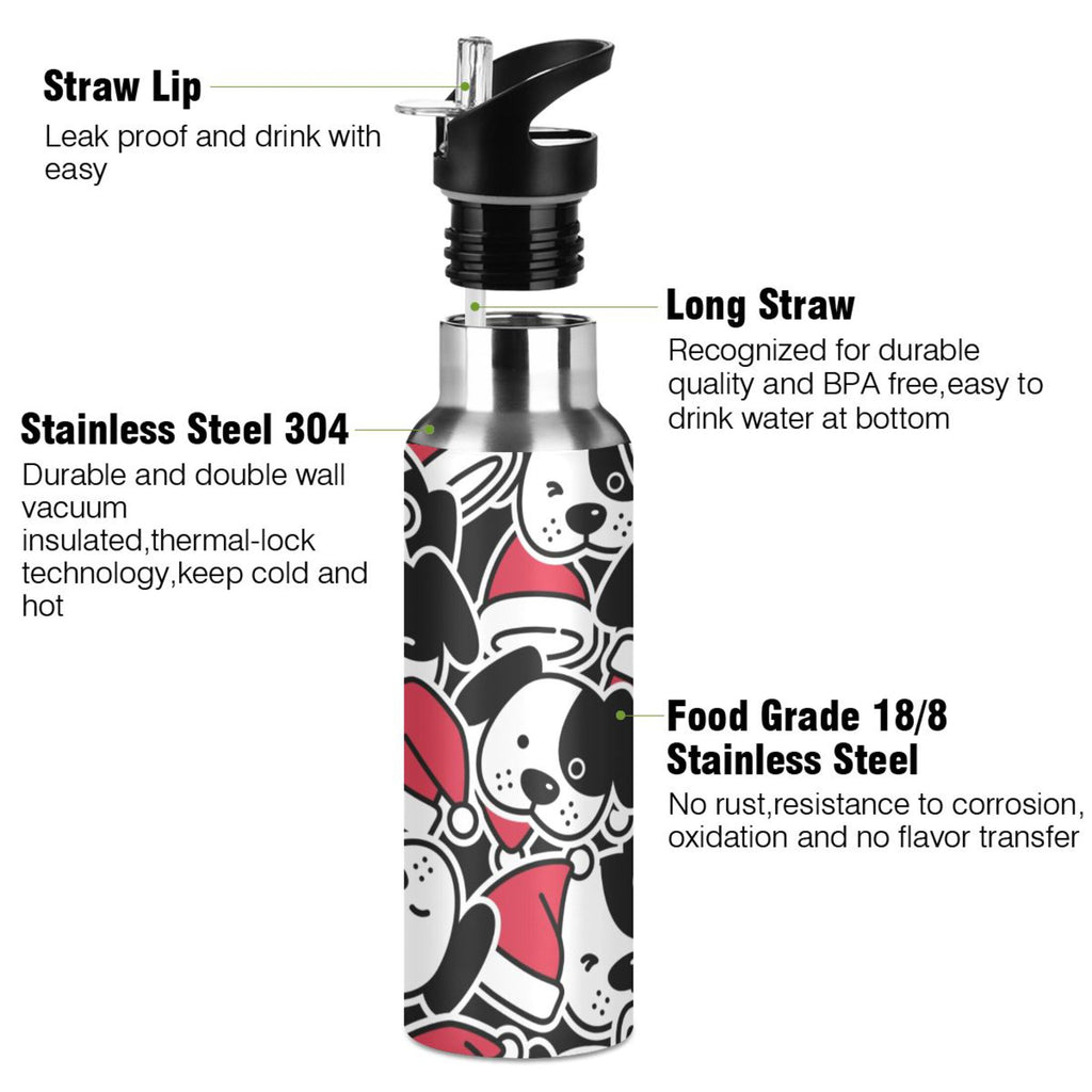 Stainless Steel Insulated Water Bottle with Straw Lid U147