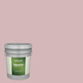 Semi-Gloss Exterior Paint (5-Gallon) Z296