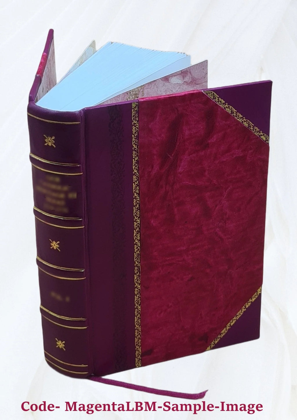 Leather Bound Book O370098