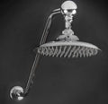 8x22 Rain Shower Head H605277