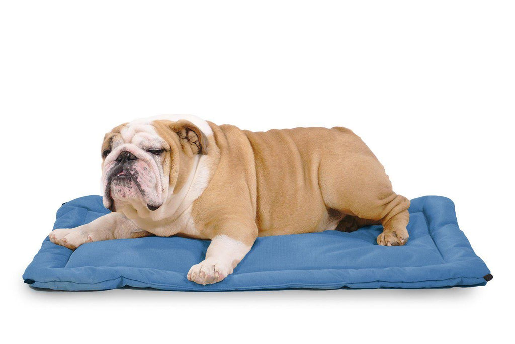 Chew Resistant Crate Pad, Blue / X-Large M786