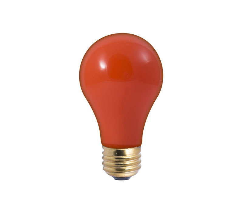 Set of 18 Dimmable Incandescent Light Bulb Ceramic Orange D723127