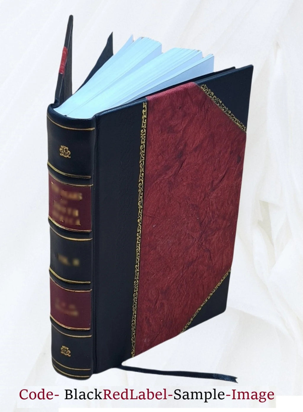 Leather Bound Book X741127