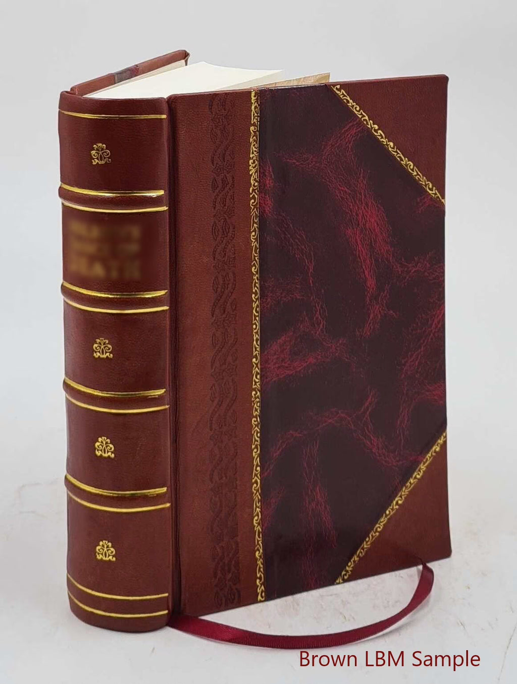Leather Bound Book O370098