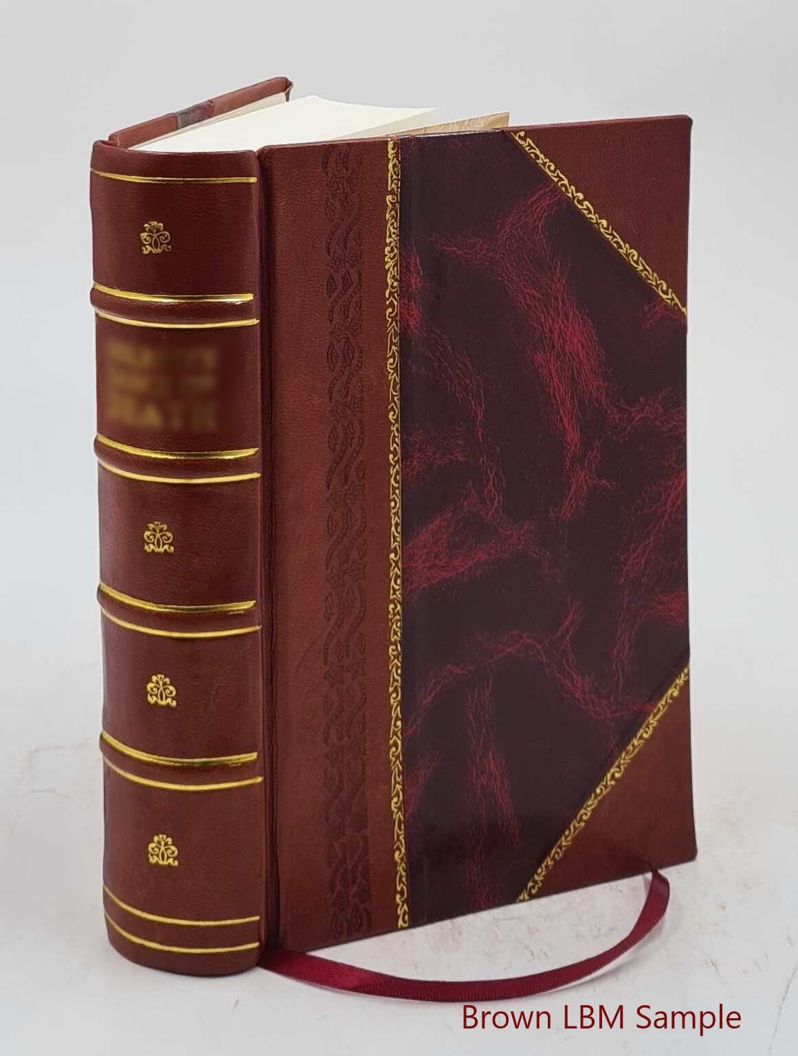 Leather Bound Book O370098