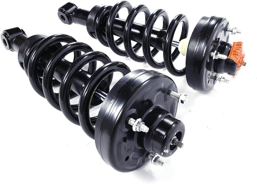 Pair Rear Complete Strut Shock Absorber Assembly C95590