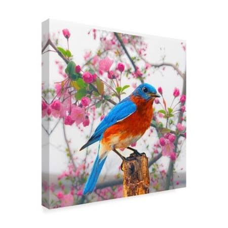 Spring Bird Can W647219